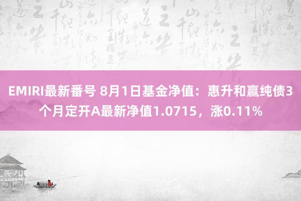 EMIRI最新番号 8月1日基金净值：惠升和赢纯债3个月定开A最新净值1.0715，涨0.11%