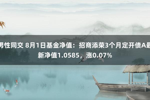 男性同交 8月1日基金净值：招商添荣3个月定开债A最新净值1.0585，涨0.07%