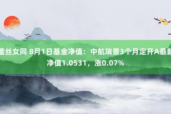 蕾丝女同 8月1日基金净值：中航瑞景3个月定开A最新净值1.0531，涨0.07%