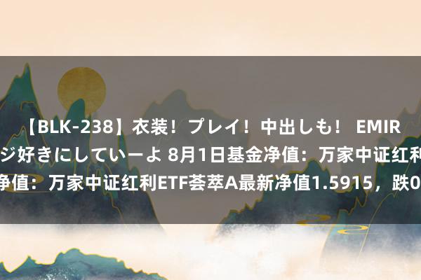 【BLK-238】衣装！プレイ！中出しも！ EMIRIのつぶやき指令で私をマジ好きにしていーよ 8月1日基金净值：万家中证红利ETF荟萃A最新净值1.5915，跌0.19%