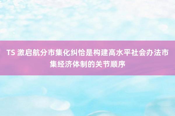 TS 激启航分市集化纠恰是构建高水平社会办法市集经济体制的关节顺序