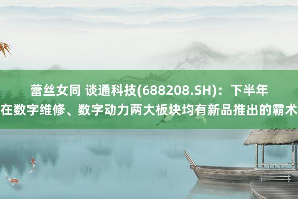 蕾丝女同 谈通科技(688208.SH)：下半年在数字维修、数字动力两大板块均有新品推出的霸术