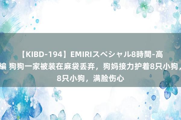 【KIBD-194】EMIRIスペシャル8時間-高画質-特別編 狗狗一家被装在麻袋丢弃，狗妈接力护着8只小狗，满脸伤心