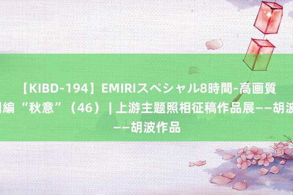 【KIBD-194】EMIRIスペシャル8時間-高画質-特別編 “秋意”（46） | 上游主题照相征稿作品展——胡波作品