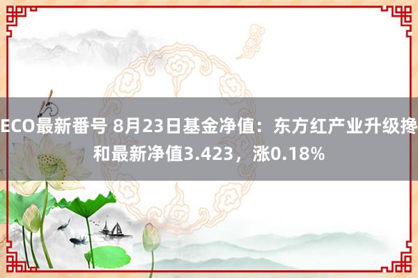 ECO最新番号 8月23日基金净值：东方红产业升级搀和最新净值3.423，涨0.18%