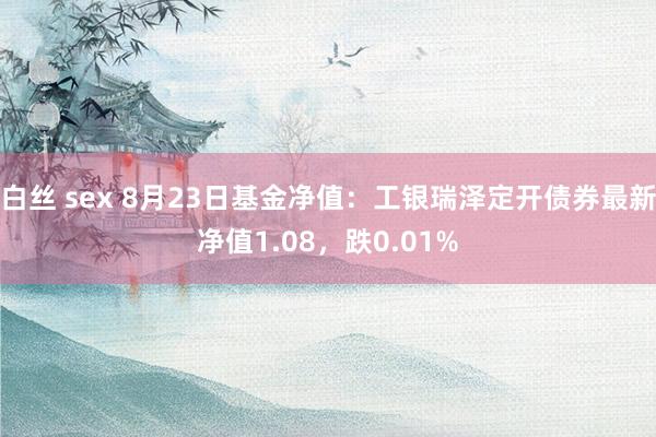 白丝 sex 8月23日基金净值：工银瑞泽定开债券最新净值1.08，跌0.01%