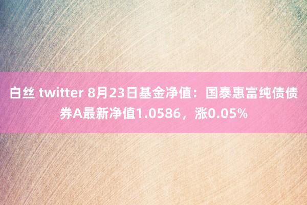 白丝 twitter 8月23日基金净值：国泰惠富纯债债券A最新净值1.0586，涨0.05%