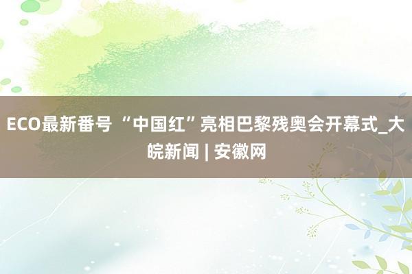 ECO最新番号 “中国红”亮相巴黎残奥会开幕式_大皖新闻 | 安徽网