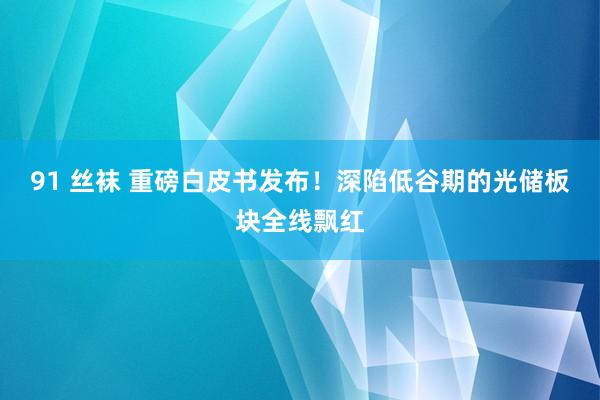 91 丝袜 重磅白皮书发布！深陷低谷期的光储板块全线飘红