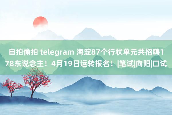 自拍偷拍 telegram 海淀87个行状单元共招聘178东说念主！4月19日运转报名！|笔试|向阳|口试