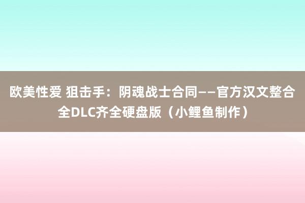 欧美性爱 狙击手：阴魂战士合同——官方汉文整合全DLC齐全硬盘版（小鲤鱼制作）