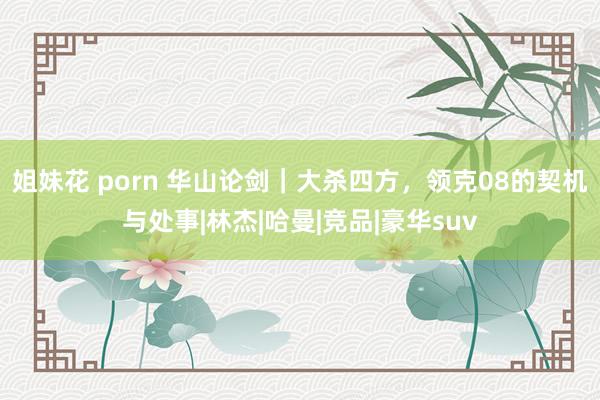 姐妹花 porn 华山论剑｜大杀四方，领克08的契机与处事|林杰|哈曼|竞品|豪华suv